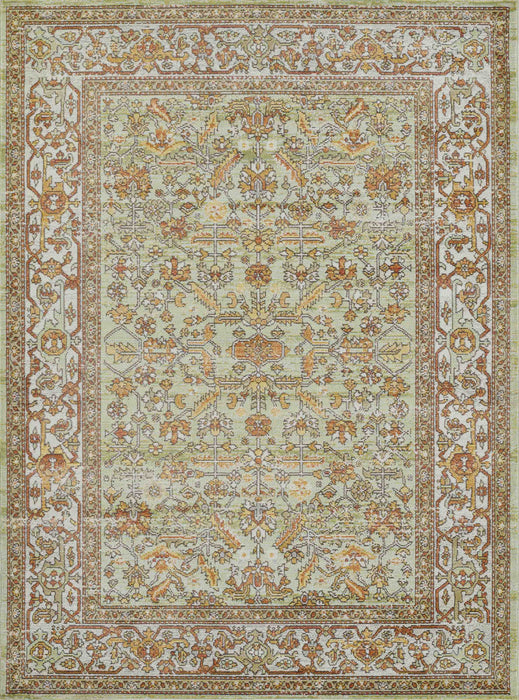 Hailey Traditional 5'3\" x 7'3\" Area Rug in Green Indoor Area Rug 