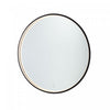 Reflections 25 W LED Lighted Mirror 