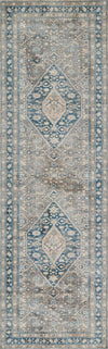 Lucia Traditional 2'6\" x 8'0\" Runner Rug in Blue Indoor Area Rug 