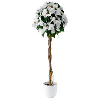 White 47