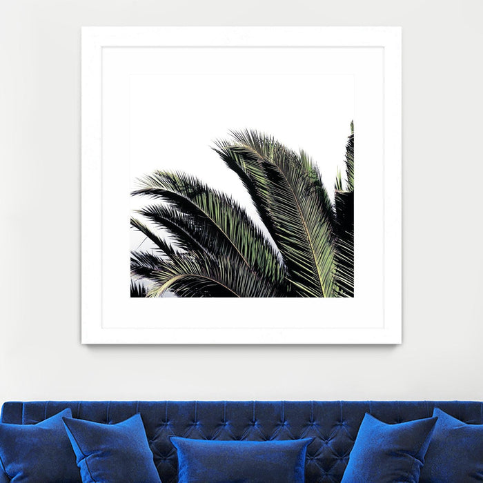 \"Cape Storm\" Matted and Framed White 30x30 Wall Art