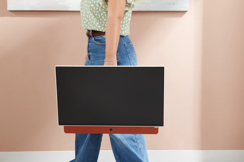 Skyworth 24\" Companion P100 Portable LED Display with Google TV