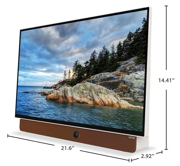Skyworth 24\" Companion P100 Portable LED Display with Google TV