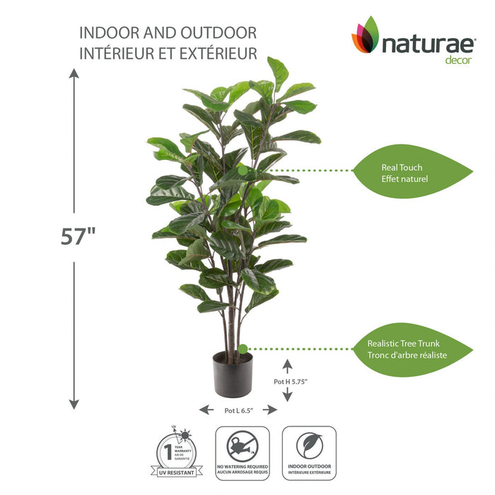 Artificial 57\" Fiddle Leaf Indoor & Outdoor In Black Pot 