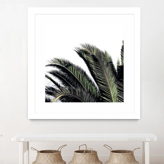\"Cape Storm\" Matted and Framed White 30x30 Wall Art