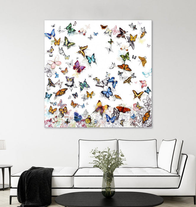 \"Papillon\" Giant Art 54x54 Wall Art
