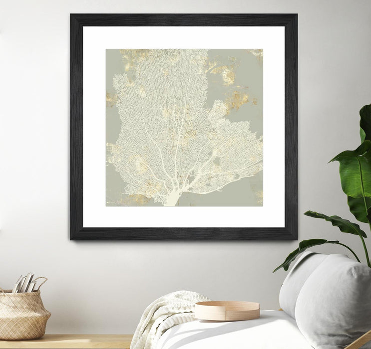 \"Sea Coral I\" Matted and Framed Black 36x36 Wall Art