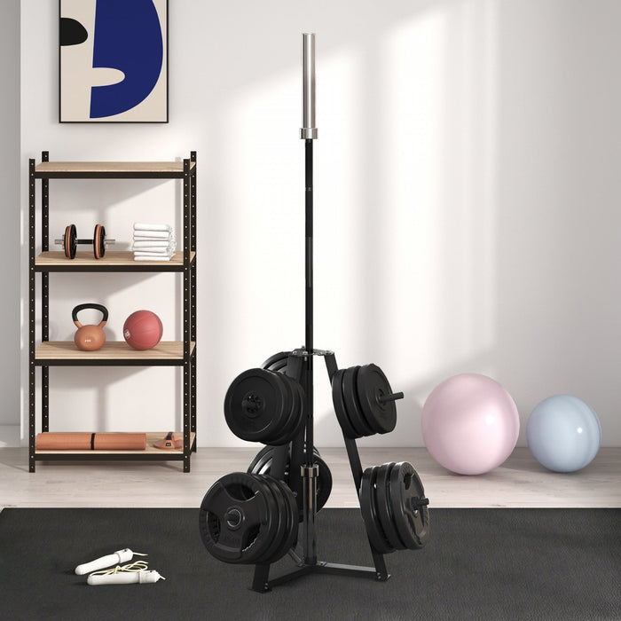Soozier Weight Rack For 1" Or 2" Weight Plates, 660lbs Capacity Weight