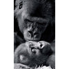 Apture Wall Art
