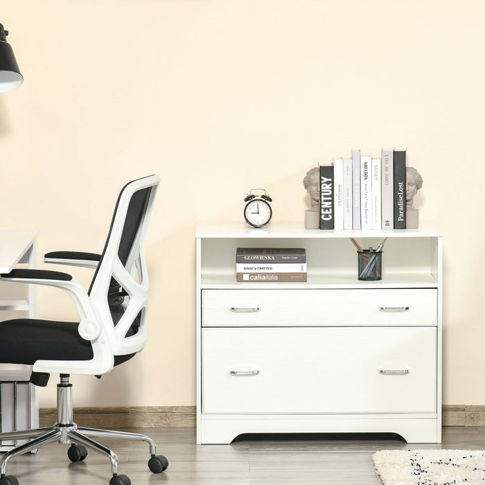 Vinsetto 2 Drawers File Cabinet With Hanging Rail