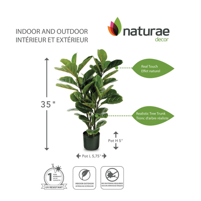 Artificial 35\" Fiddle Leaf Indoor & Outdoor In Black Pot 