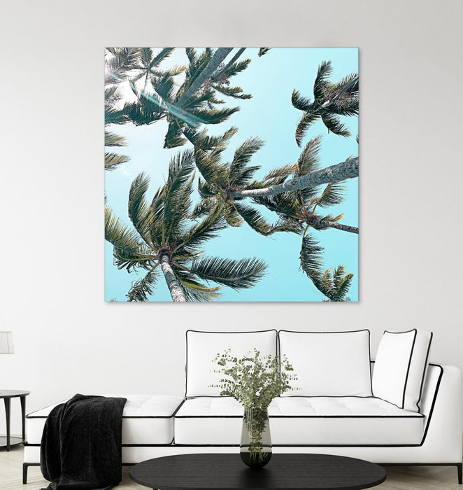 \"Palm 03\" Giant Art 54x54 Wall Art
