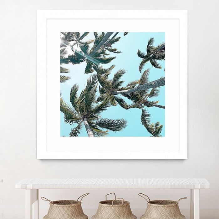 \"Palm 03\" Matted and Framed White 36x36 Wall Art