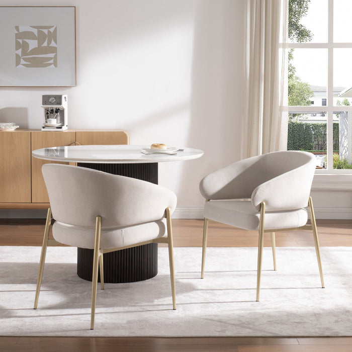 Jeremy Modern Dining Chairs Set Of 2 With Fabric Upholstered Side Chairs And Metal Frame,beige 