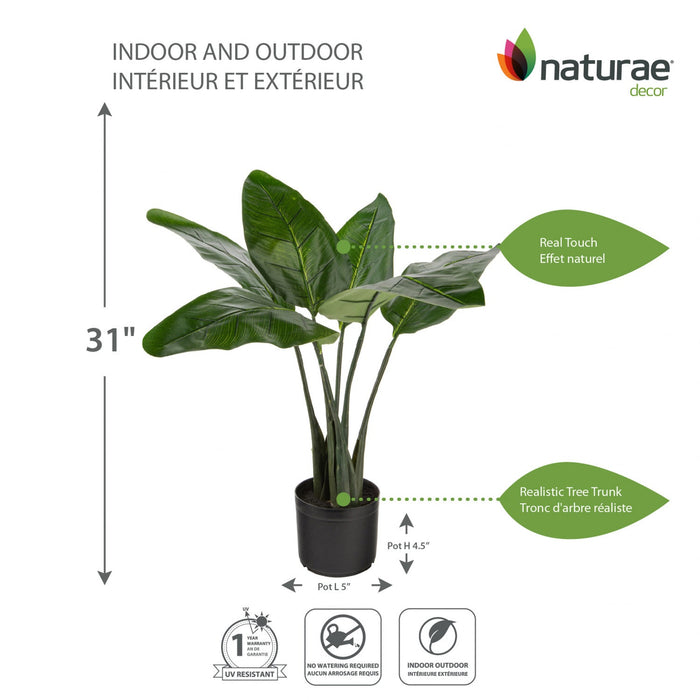 Artificial 31\" Bird Of Paradise Indoor & Outdoor In Black Pot 