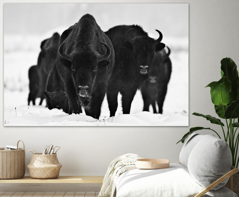 \"Europeans Bizons\" Giant Art 72x48 Wall Art