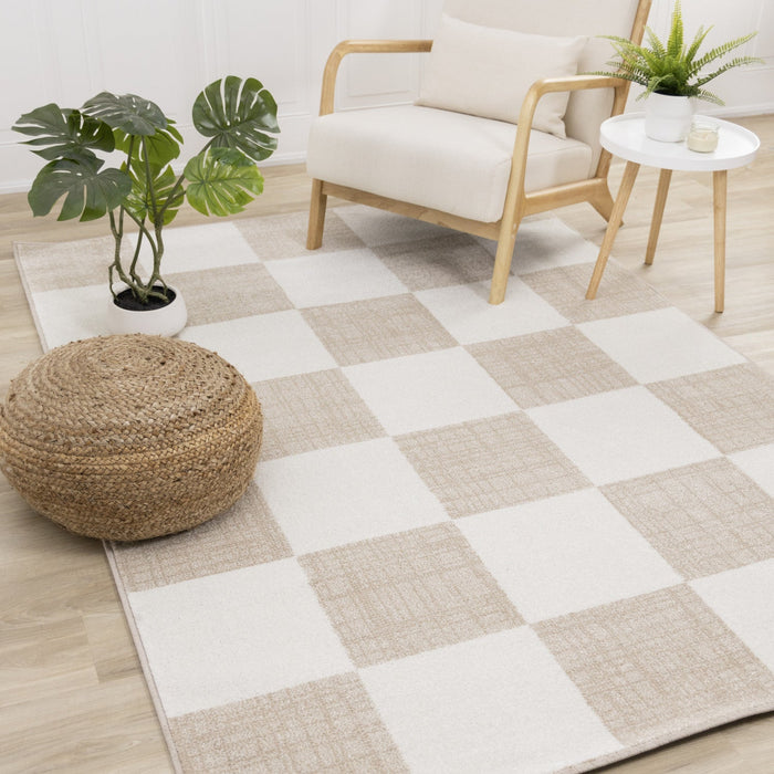 Covington Modern Checkered Indoor Area Rug - 2'8\" x 4'11\"