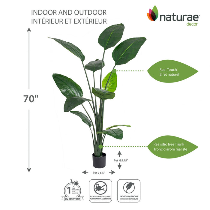 Artificial 70\" Bird Of Paradise Indoor & Outdoor In Black Pot 