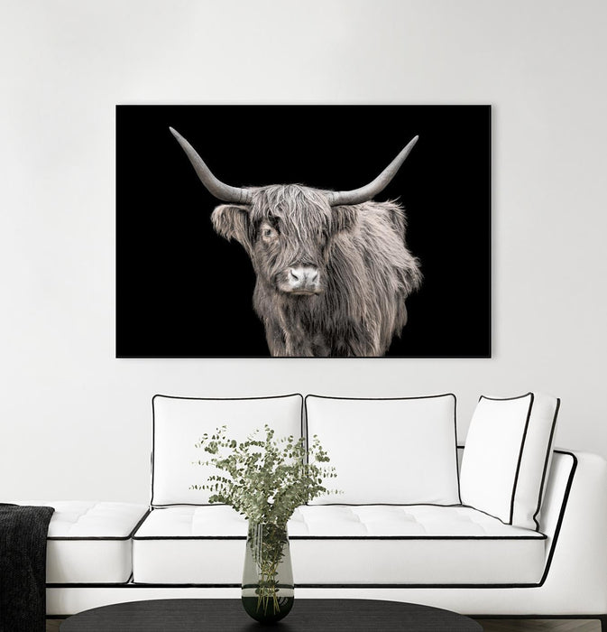 \"A New Kid In Town\" Canvas Framed Black 36x24 Wall Art