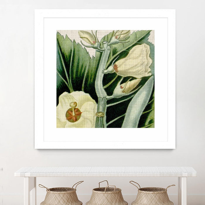 \"Cropped Turpin Tropicals Iii\" Matted and Framed White 36x36 Wall Art