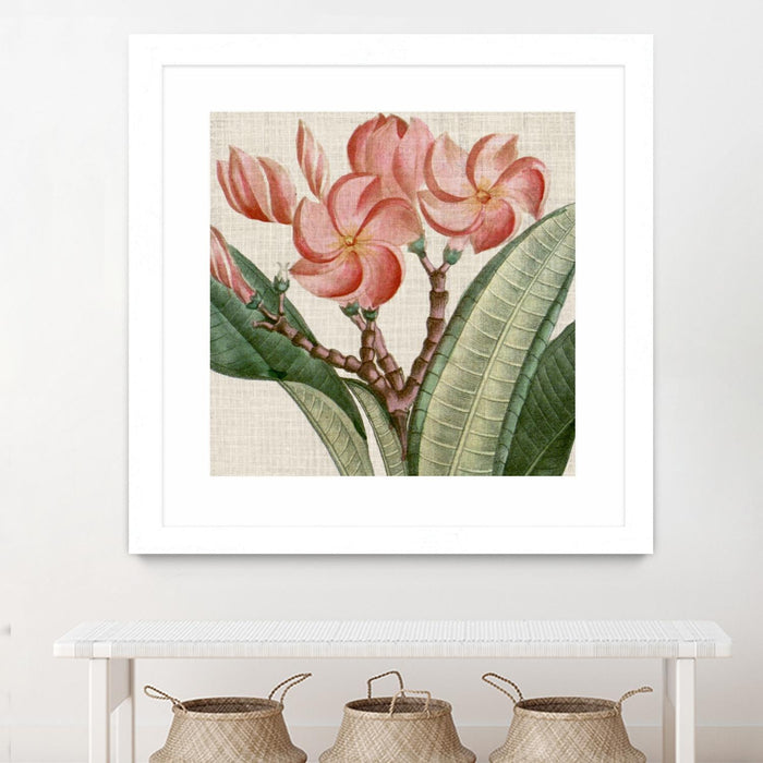 \"Cropped Turpin Tropicals Vii\" Matted and Framed White 36x36 Wall Art