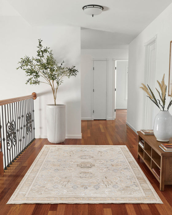 Eleanor Traditional 7'10\" x 10'10\" Area Rug in Grey Indoor Area Rug 