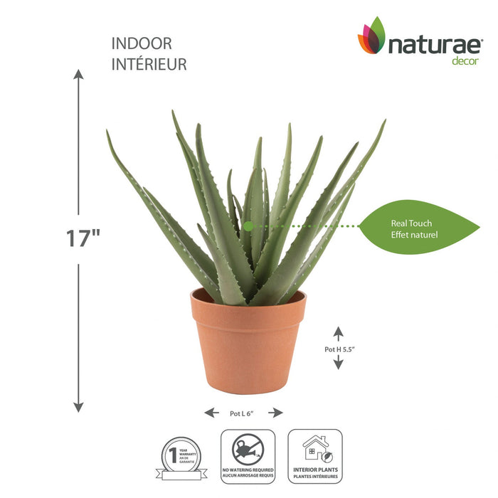 Artificial 17\" Aloe Vera In Terracotta Pot 