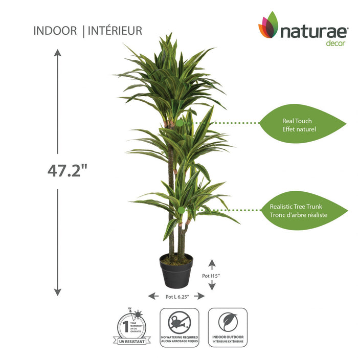 Artificial 47\" Dracaena In Black Pot 