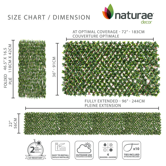 PVC Expandable Trellis 36\"x 72\" Gardenia Leaves 