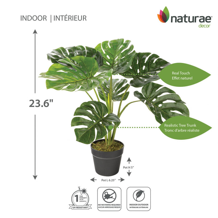 Artificial 23\" Monstera In Black Pot 