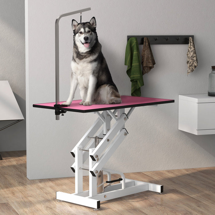 Pawhut Dog Grooming Table, Deluxe Professional Pet Grooming Table For Larger Dogs Z-lift Hydraulic W