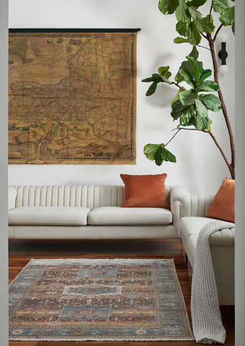Dulce Traditional 5'0\" x Area Rug in Multi Indoor Area Rug 