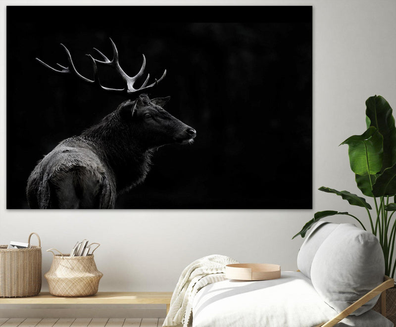 \"The Deer Soul\" Giant Art 84x54 Wall Art
