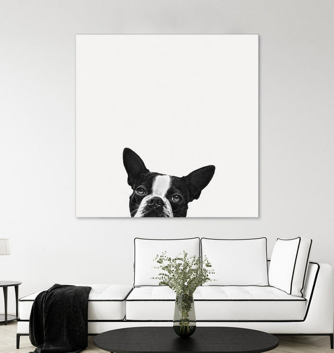 \"Loyalty\" Giant Art 72x72 Wall Art