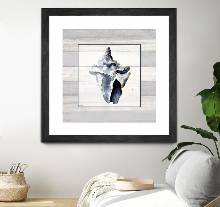 \"Muted Blue Sea Conch On Wood\" Matted and Framed Black 36x36 Wall Art