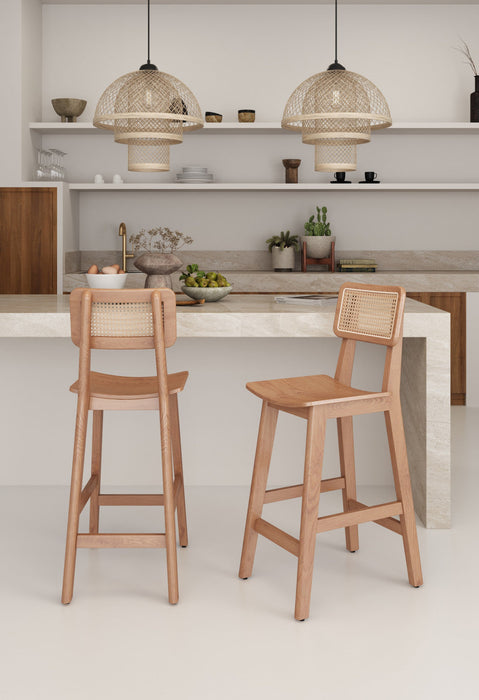 Versailles Industry Chic Cane Back Wood Counter Stool in Natural - Set of 2 