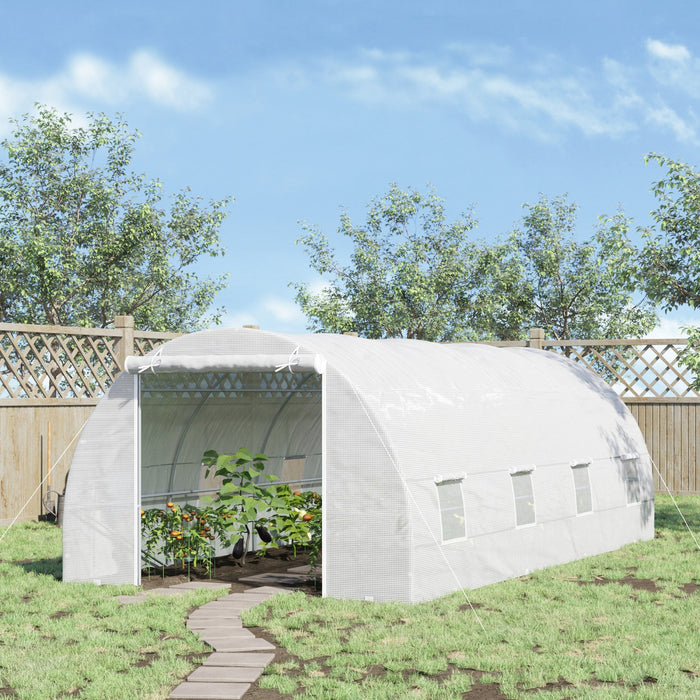 Outsunny 20x10x7ft Heavy Duty Tunnel Walk-in Greenhouse Outdoor Backyard Seed Plant Vegetables Grow 