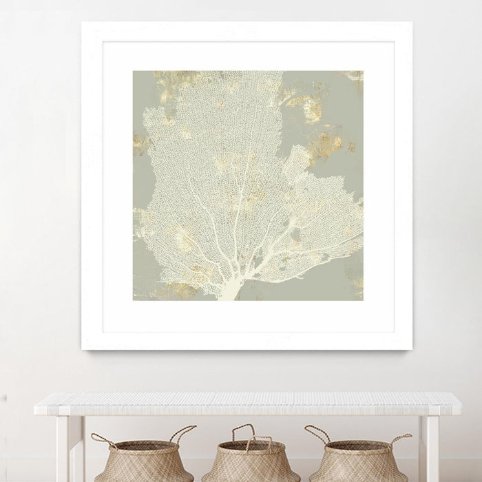 \"Sea Coral I\" Matted and Framed White 36x36 Wall Art