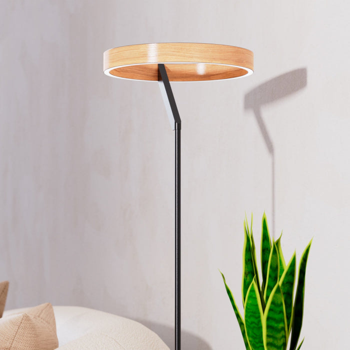 63\"  Matte Black Modern LED Floor Lamp 