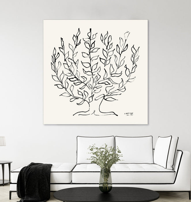 \"L'arbre Platane\" Giant Art 72x72 Wall Art