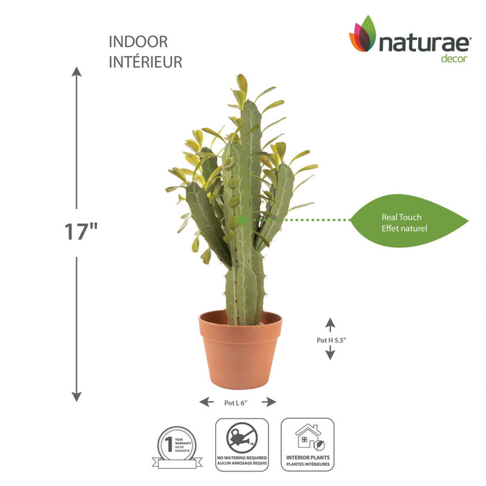 Artificial 25\" Candelabra Cactus In Terracotta Pot 