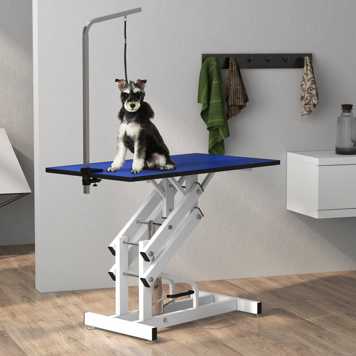 Pawhut Dog Grooming Table, Deluxe Professional Pet Grooming Table For Larger Dogs Z-lift Hydraulic W