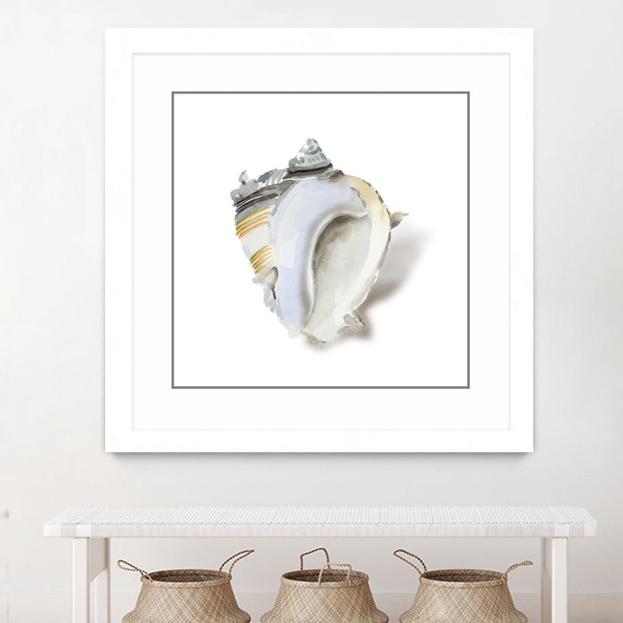 \"Seafoam Shell\" Matted and Framed White 30x30 Wall Art