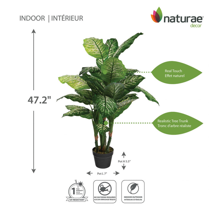 Artificial 47\" Dieffenbachia In Black Pot 