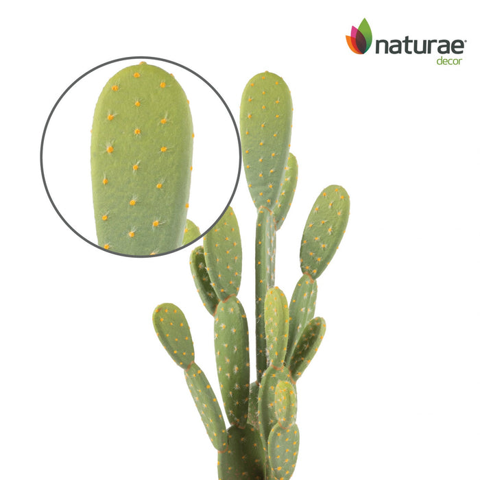 Artificial 21\" Bunny Ears Cactus In Terracotta Pot 