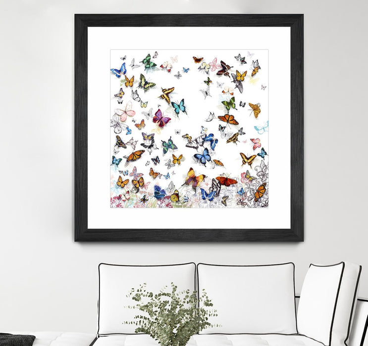 \"Papillon\" Matted and Framed Black 36x36 Wall Art