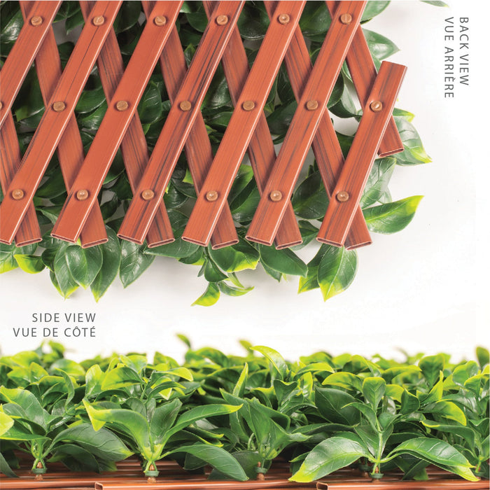 PVC Expandable Trellis 36\"x 72\" Gardenia Leaves 