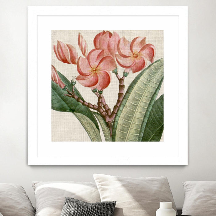 \"Cropped Turpin Tropicals Vii\" Matted and Framed White 36x36 Wall Art