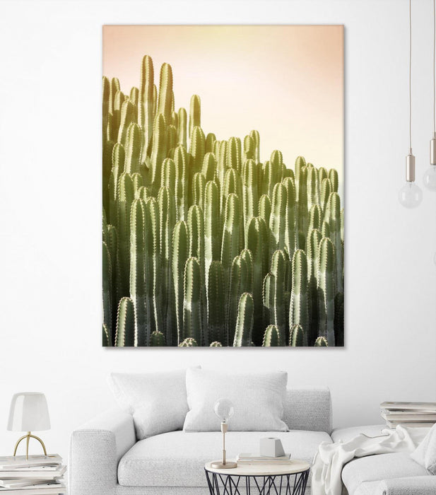 \"Pink Sky Cactus\" Giant Art 72x54 Wall Art