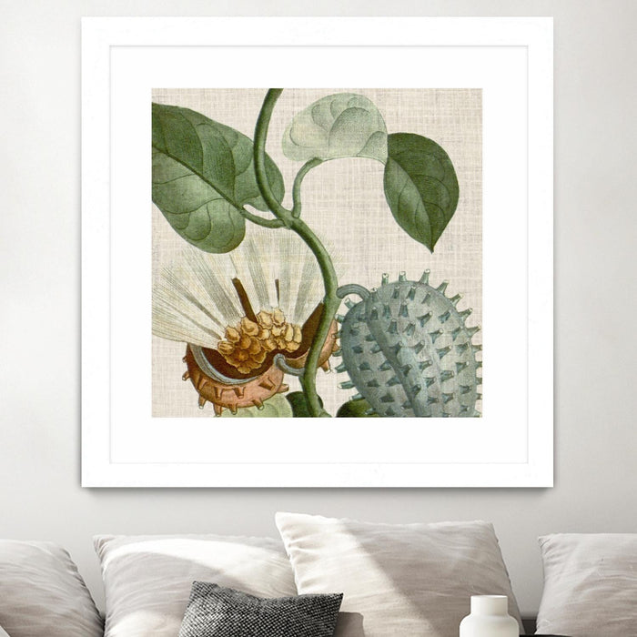 \"Cropped Turpin Tropicals Ii\" Matted and Framed White 30x30 Wall Art